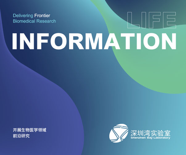 杭州VI設計公司的特色是什么？