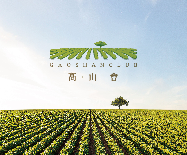 廈門logo設(shè)計(jì)之魅力與創(chuàng)意