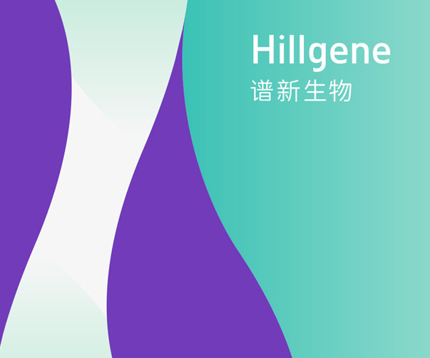 2024年深圳品牌設(shè)計(jì)界最受歡迎的新聞報(bào)道